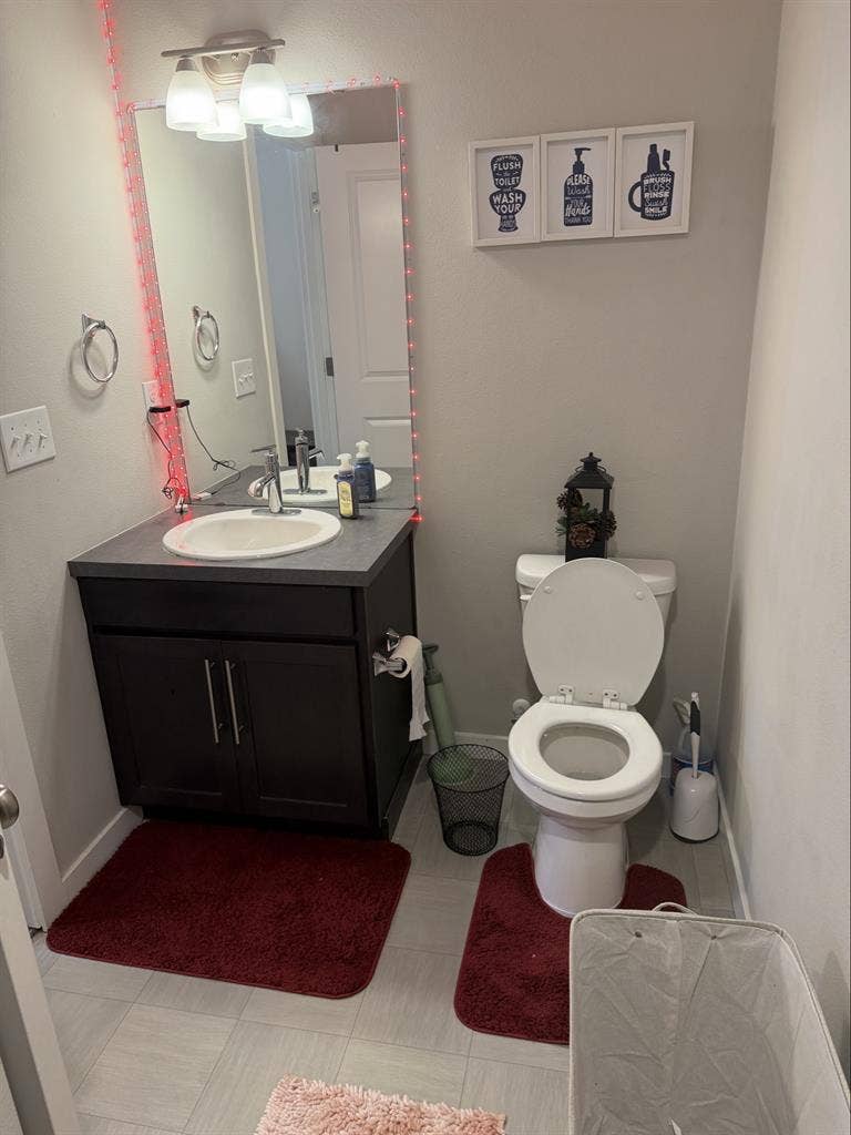 Looking for a quiet roommate?