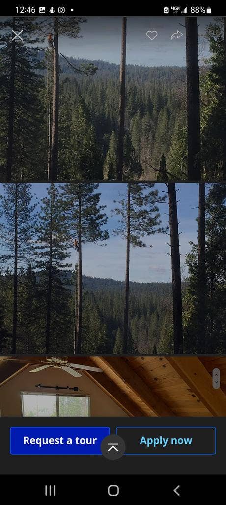 3 bed 2 bath, sits on a acre.