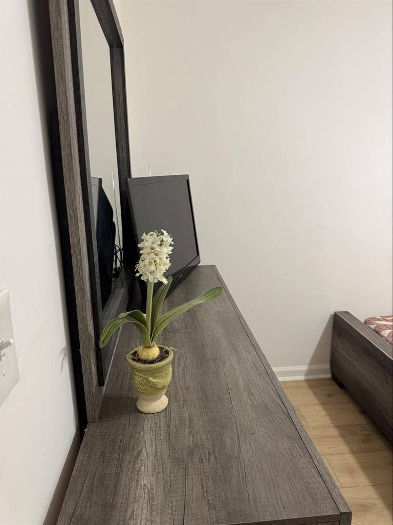 Habitación disponible