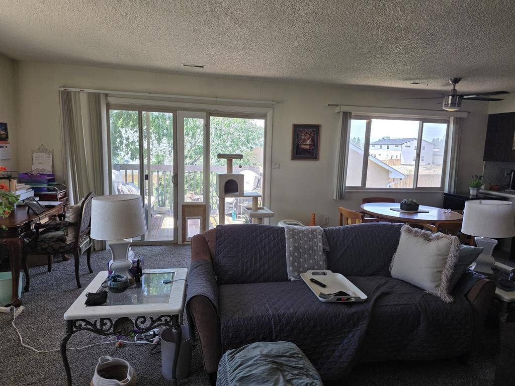 Senior offers a room