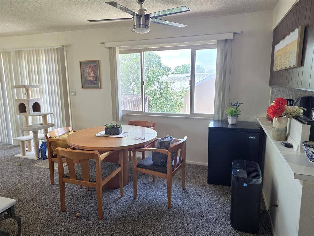 Senior offers a room