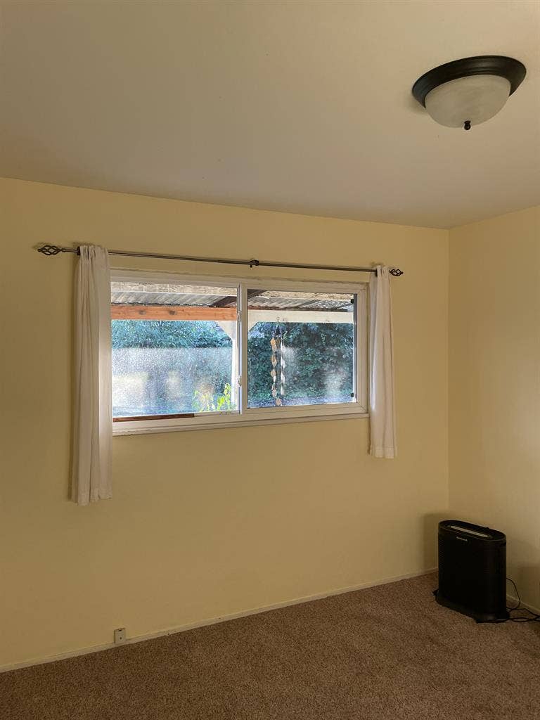 Sunny Room In House -- Pet Okay