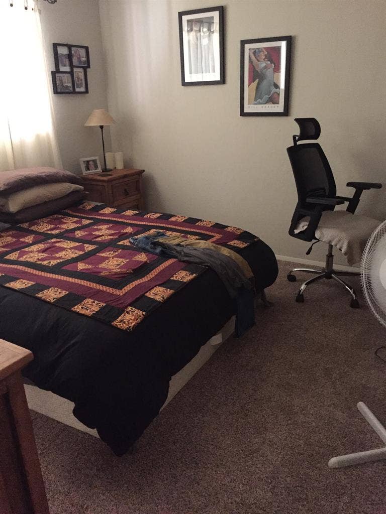 Sunny Room In House -- Pet Okay