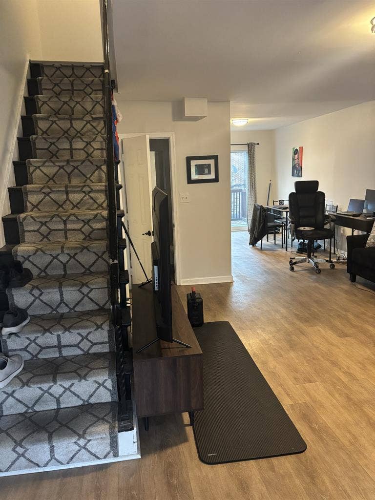 Looking for a clean roommate