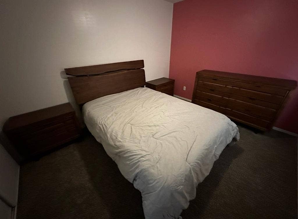 Roommate wanted!