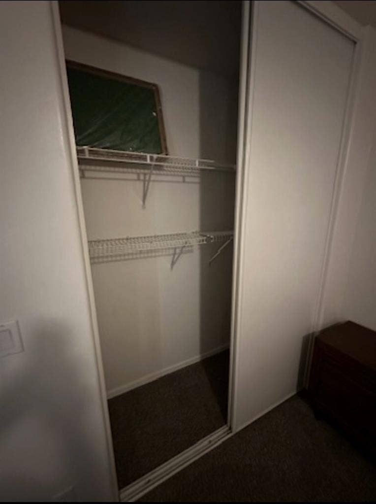 Roommate wanted!