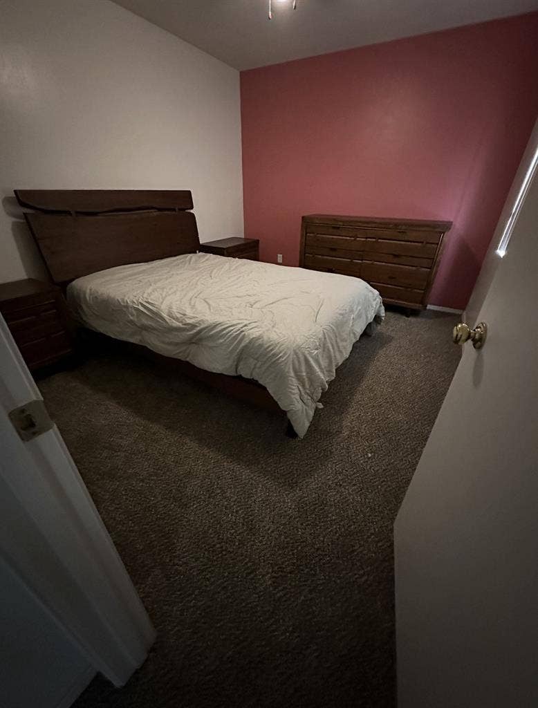 Roommate wanted!