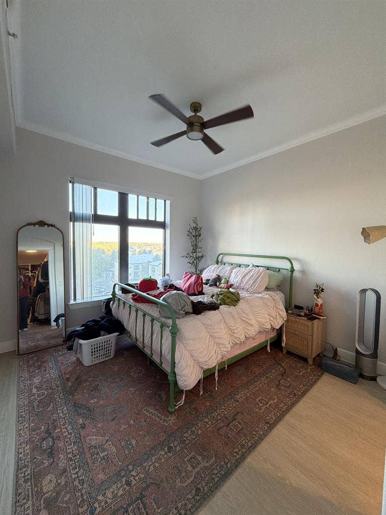 Looking for a female roommate