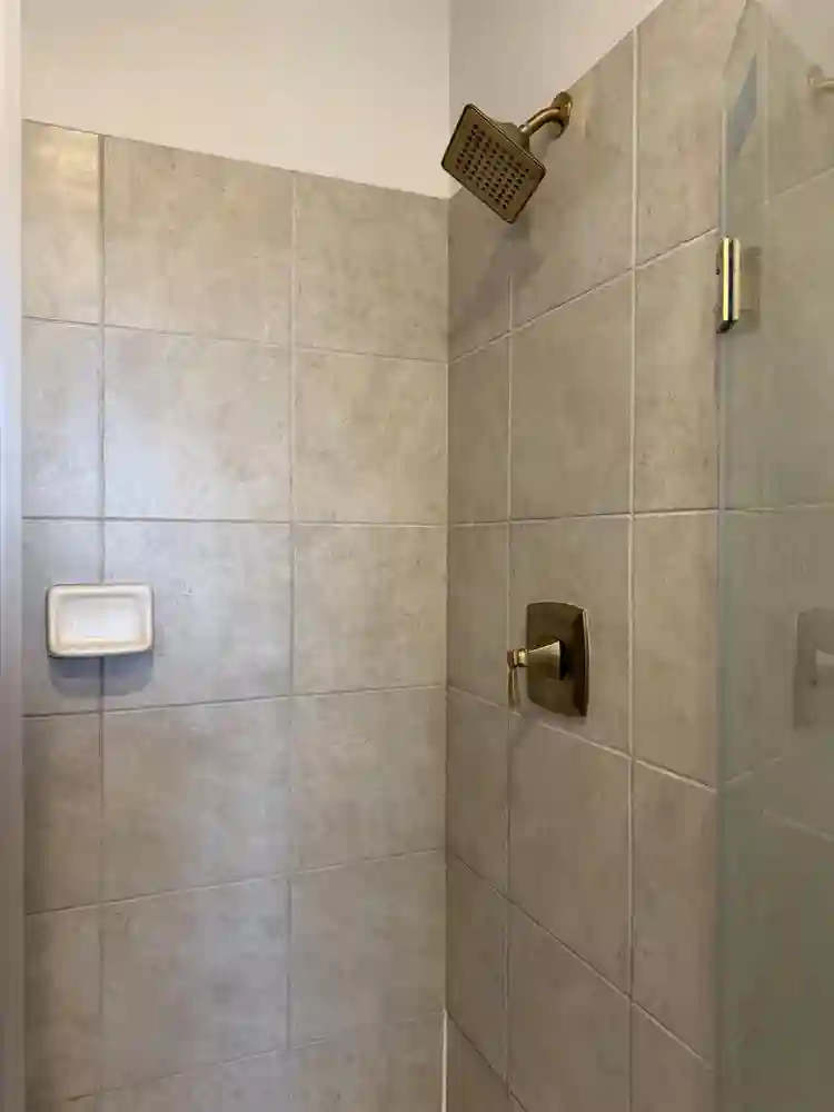 Looking for a female roommate