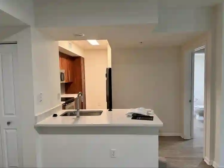 Looking for a roommate