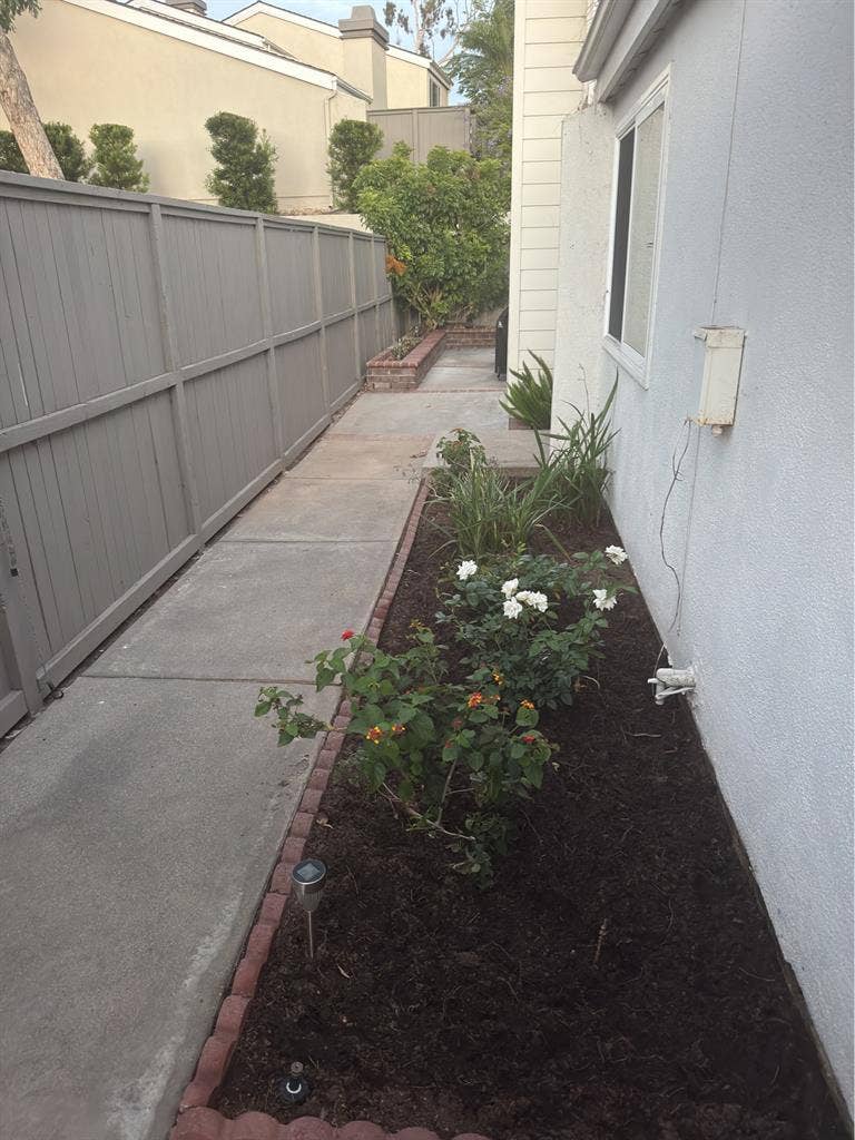 New roommate wanted