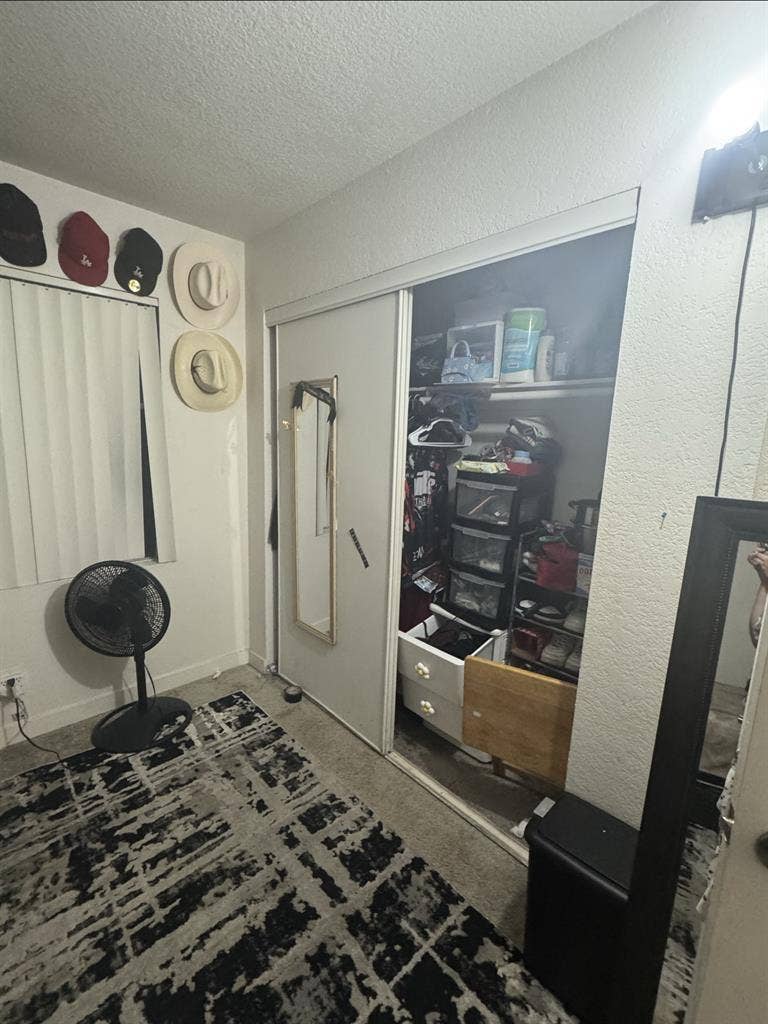 Looking for a roommate/s 91387