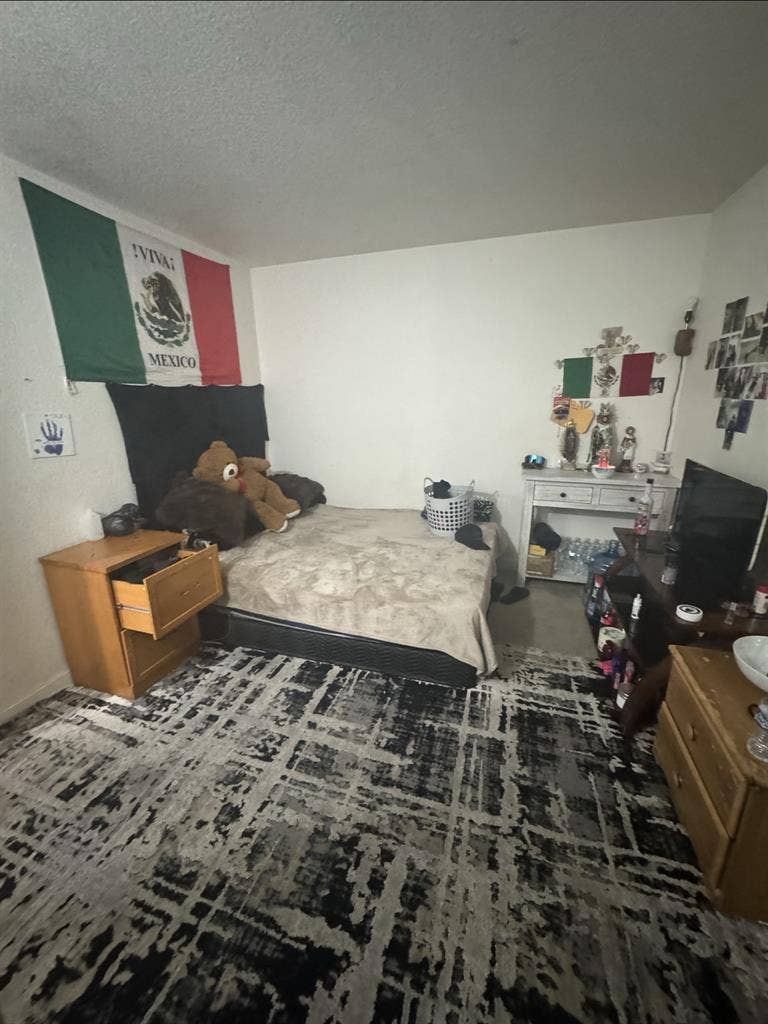 Looking for a roommate/s 91387