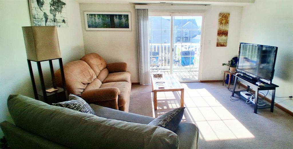 Looking for a roommate