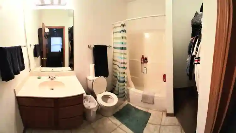 Looking for a roommate