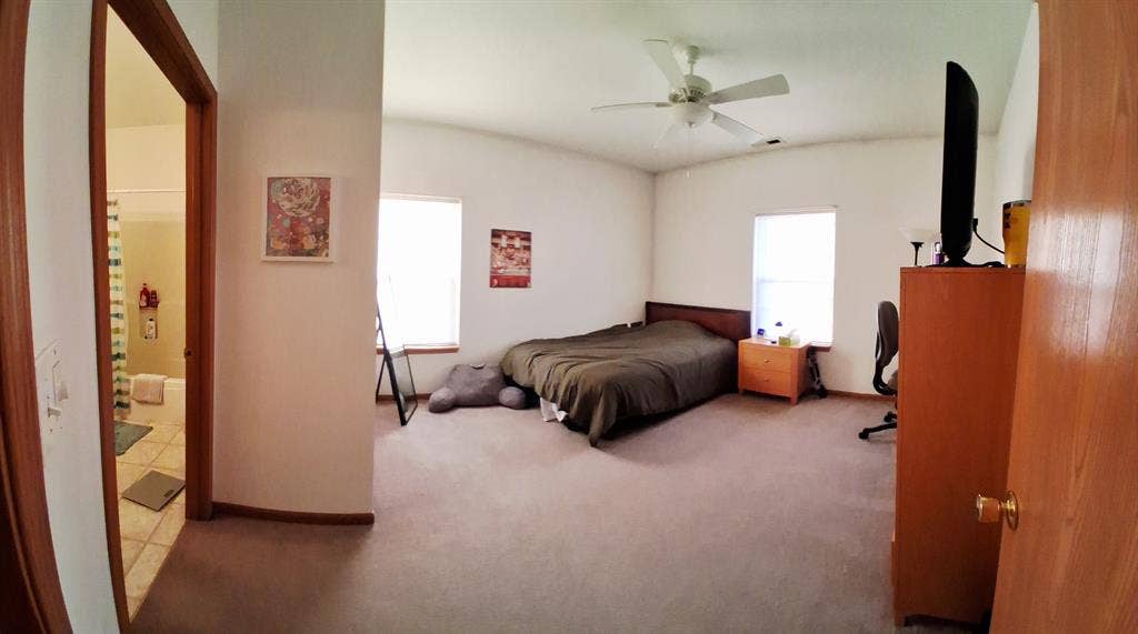 Looking for a roommate