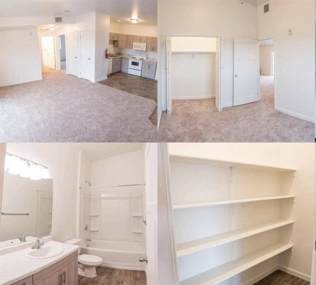 Looking for a female roommate