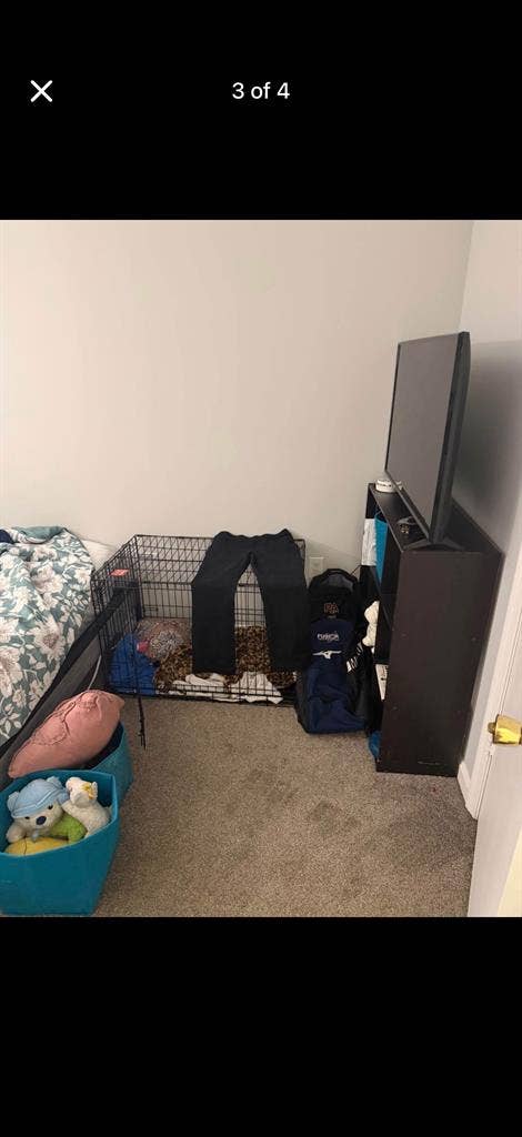 Roommate needed