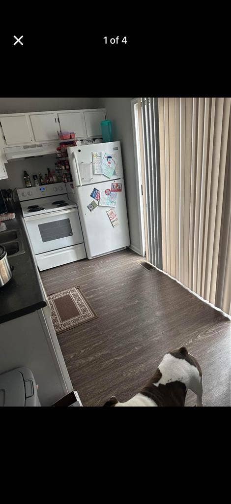 Roommate needed