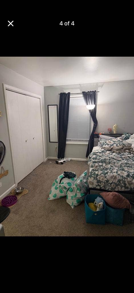 Roommate needed