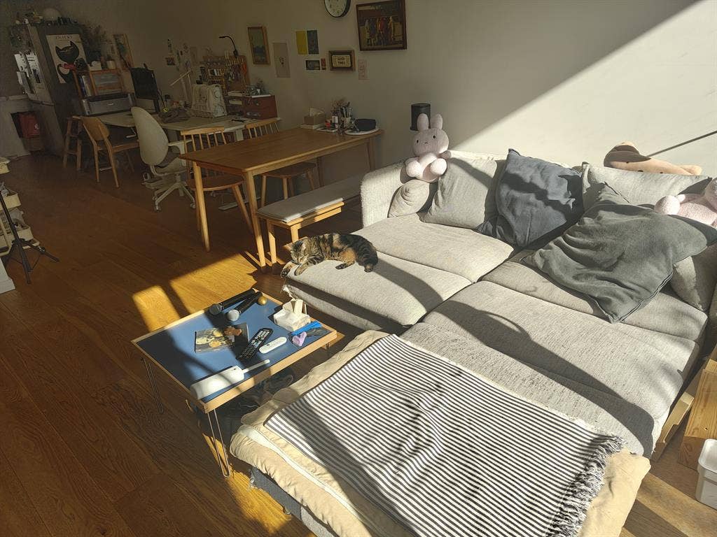Looking to sublet my sister's room!