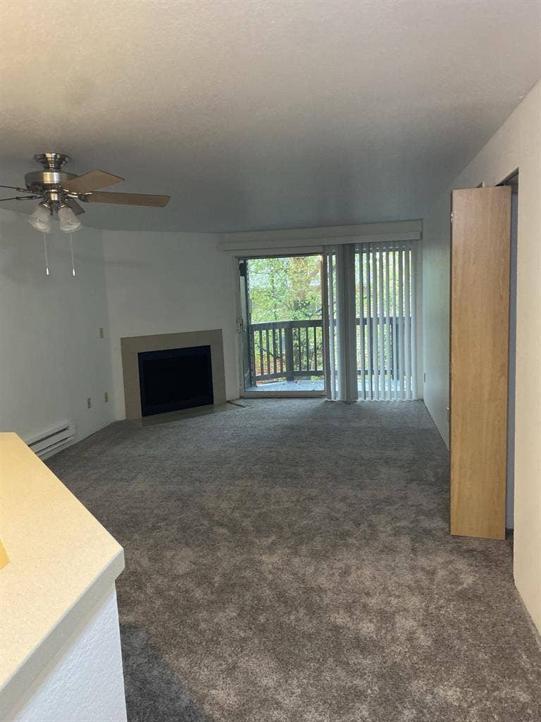 Looking for a new roommate!