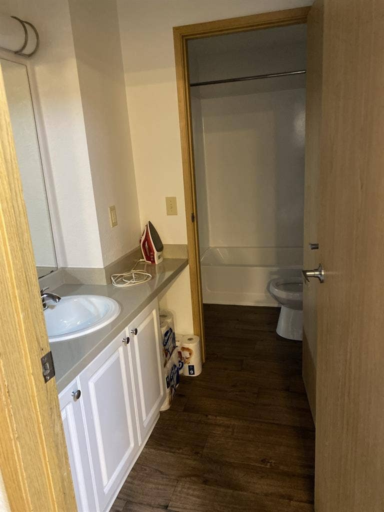Looking for a new roommate!