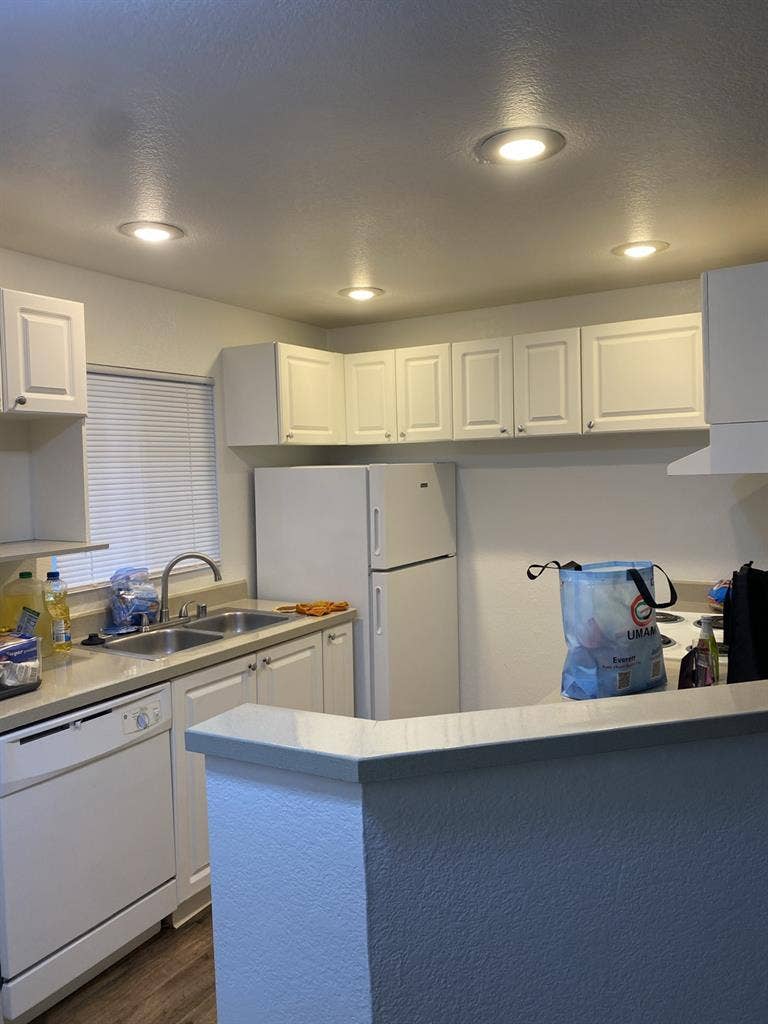 Looking for a new roommate!