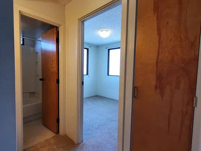 Looking For Roommate:)