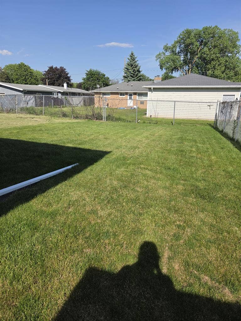 Looking for a roommate