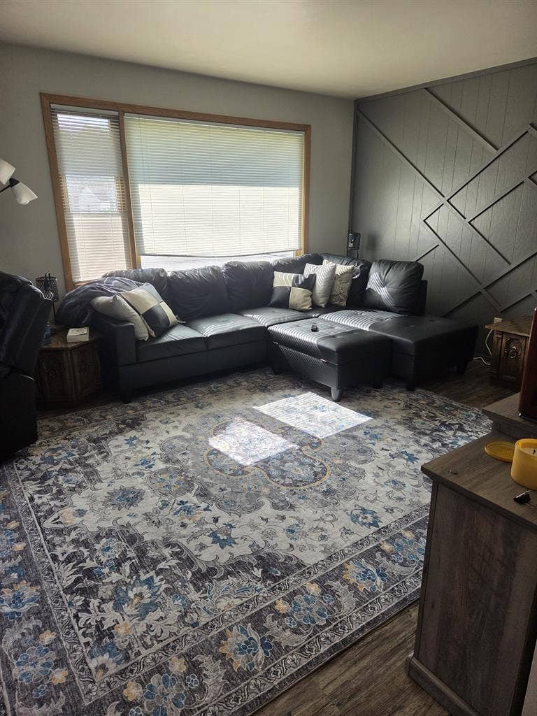 Looking for a roommate