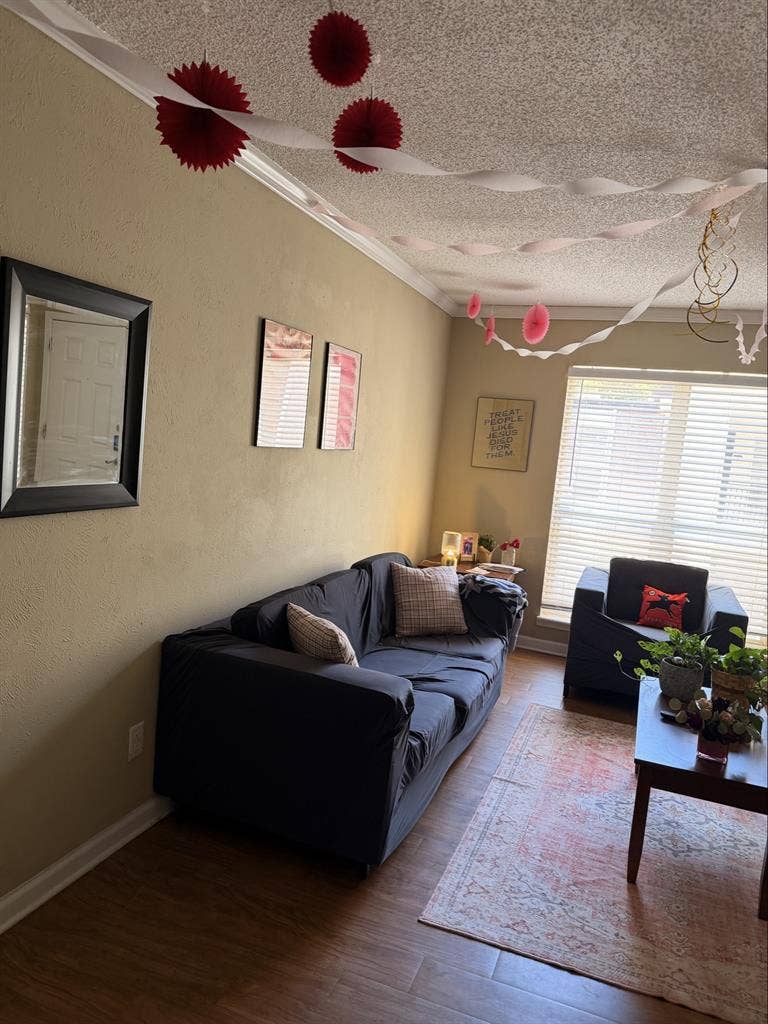 Searching for a roommate