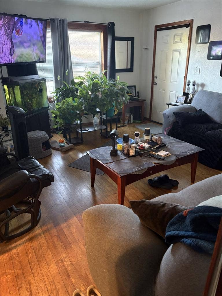 New Listing