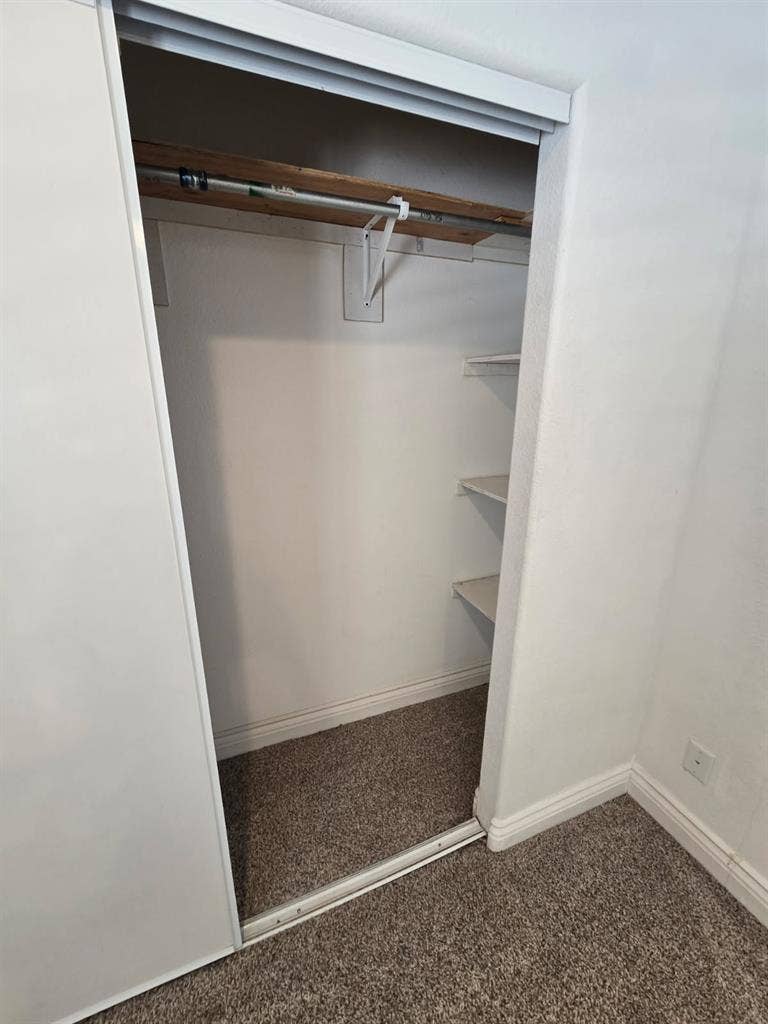 Looking for a Wonderful Roommate!