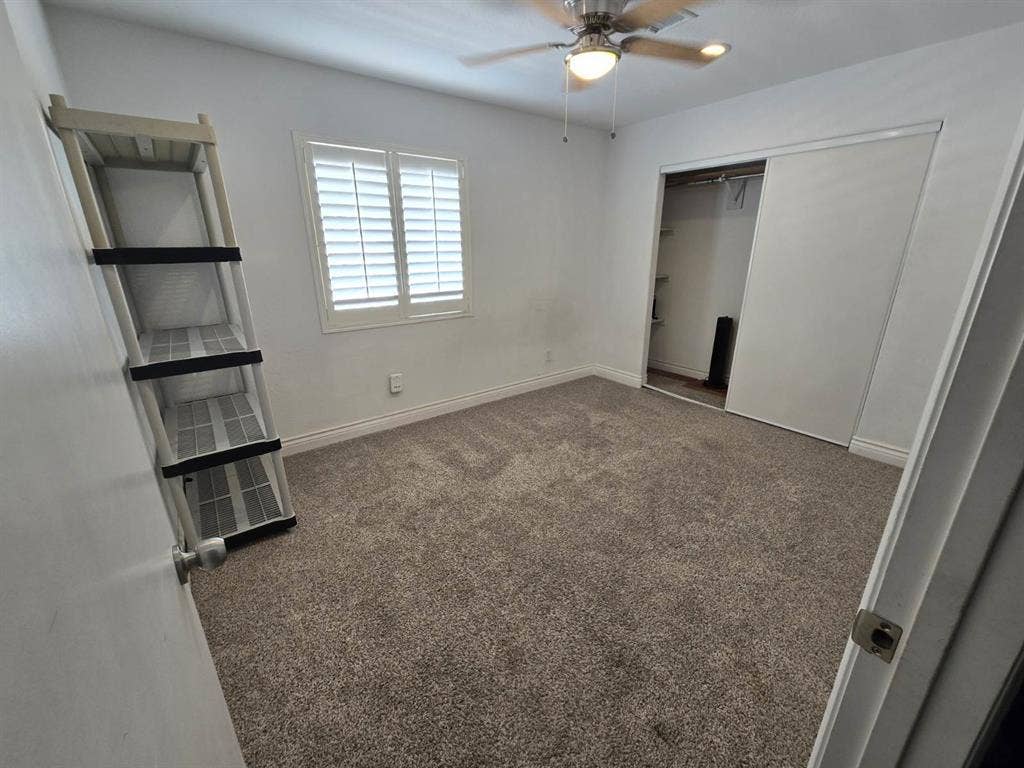 Looking for a Wonderful Roommate!