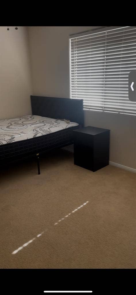 Looking For One More Roommate