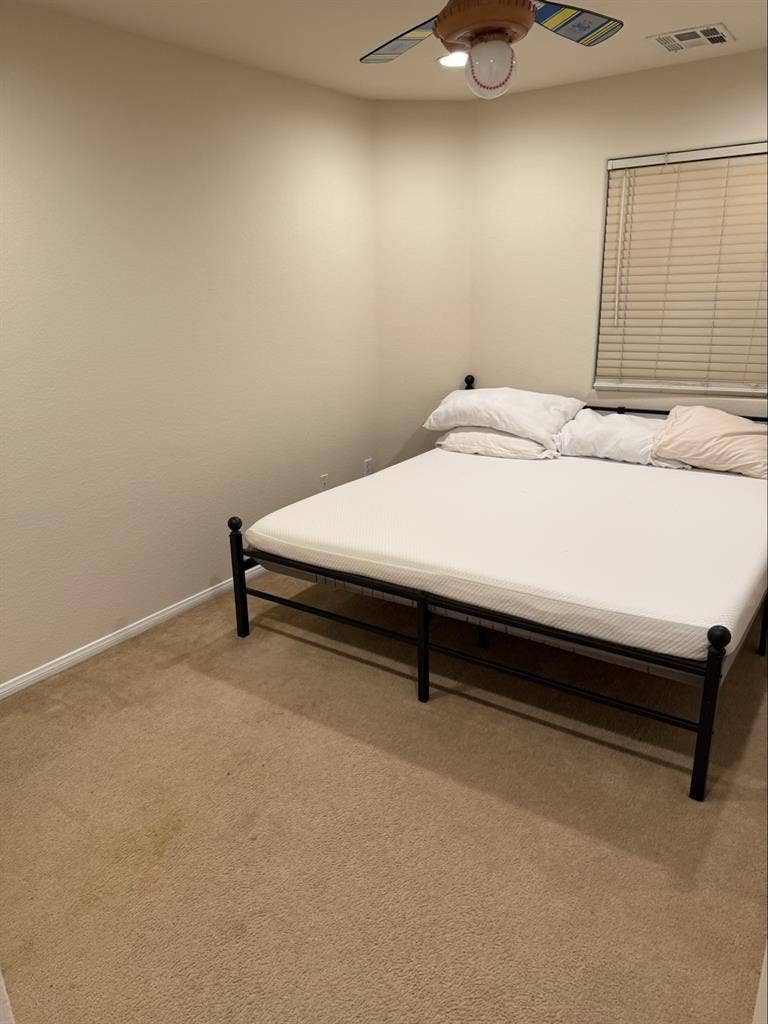 Looking For One More Roommate