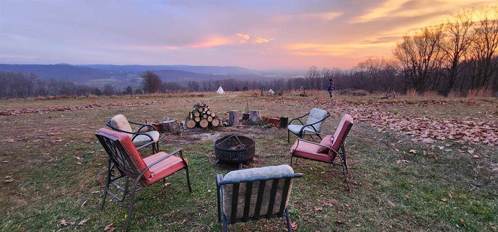 Co-living in gorgeous organic farm