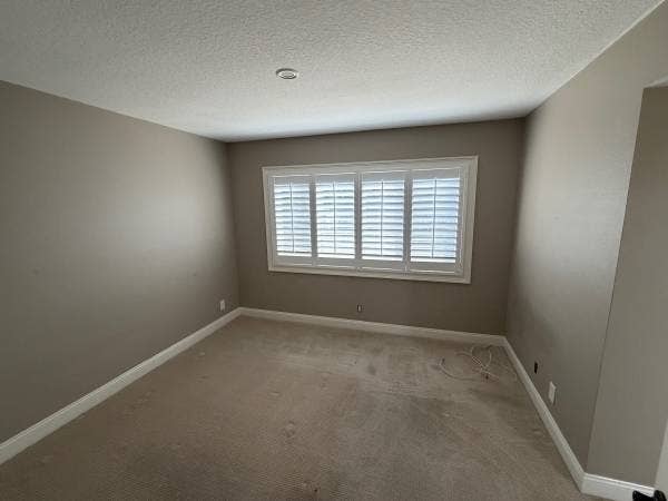 Private Bedroom + Bathroom for Rent