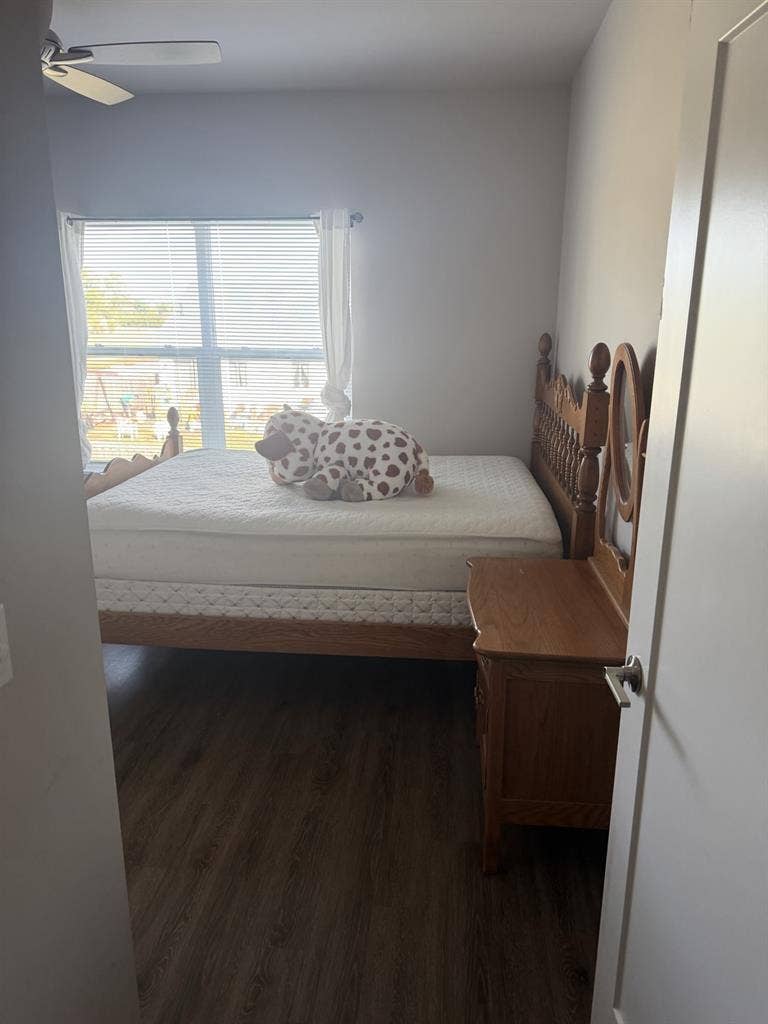 “Looking for a roommate