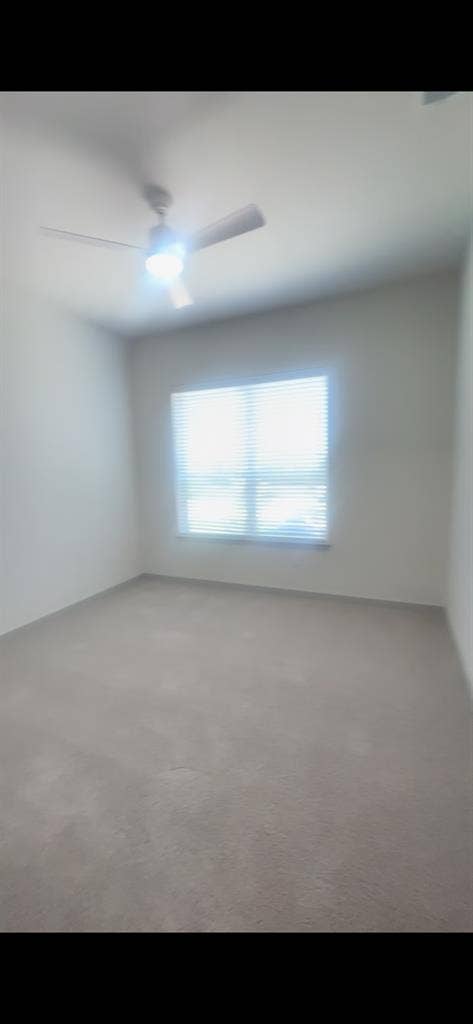 Looking for roommatees
