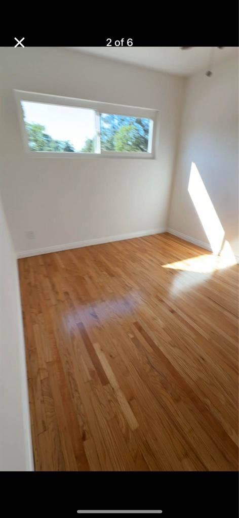 Room for rent in two bed apartment