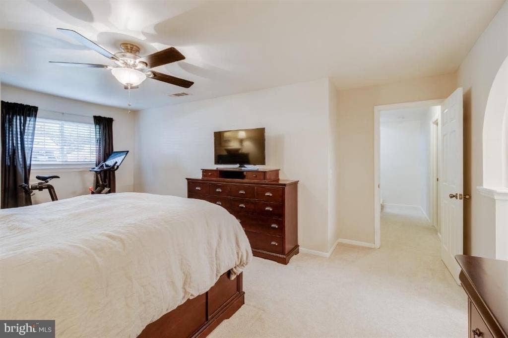Awesome Condo- Roommate Wanted