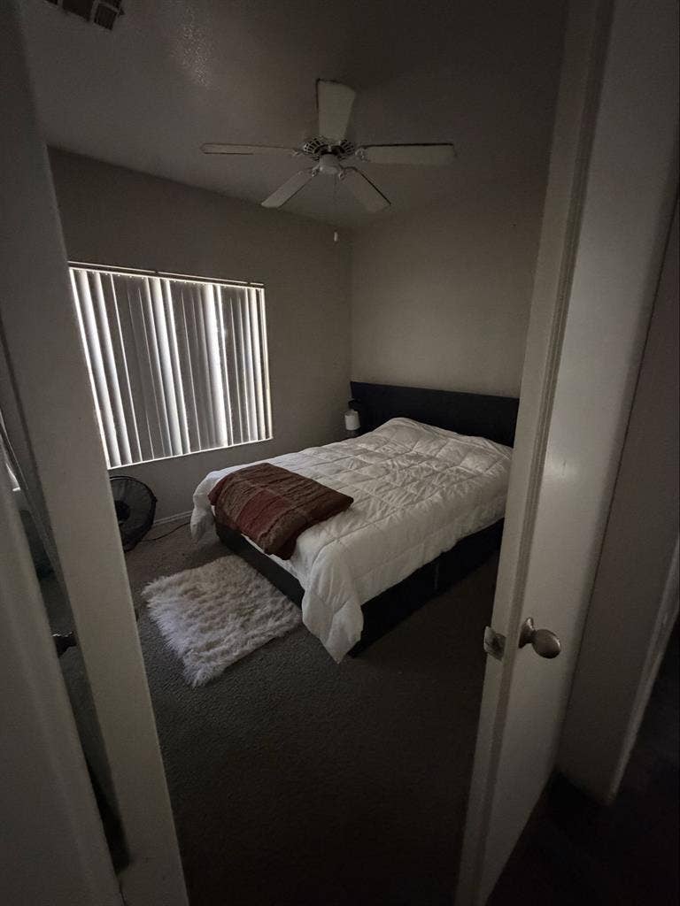 Looking for a roommate