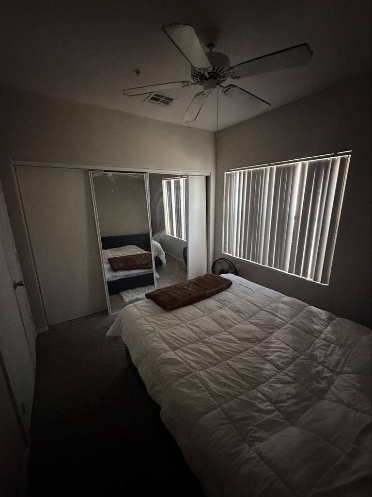 Looking for a roommate