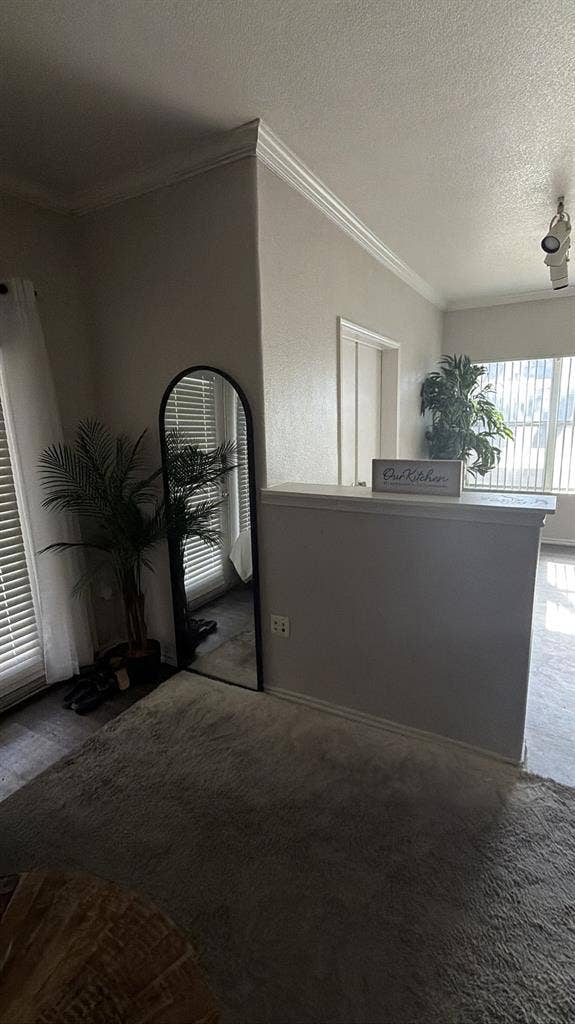 Looking for a roommate