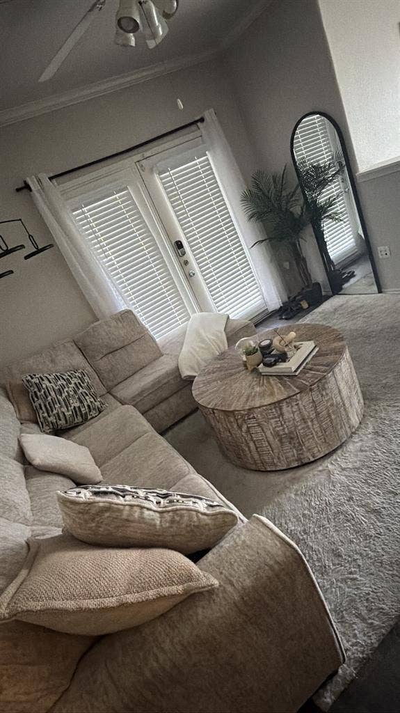 Looking for a roommate
