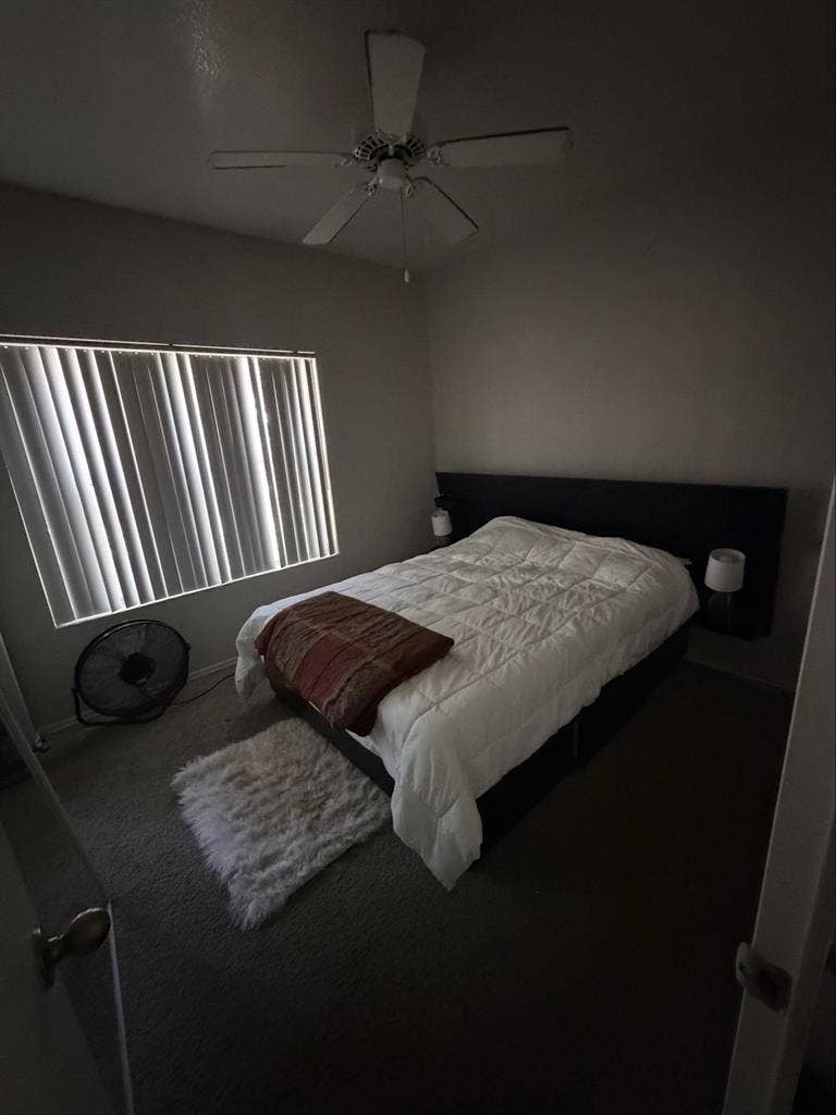 Looking for a roommate