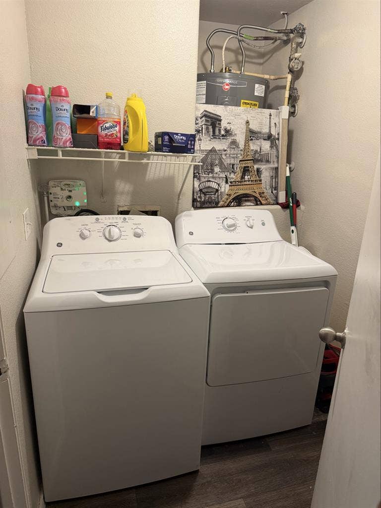 Looking for a roommate