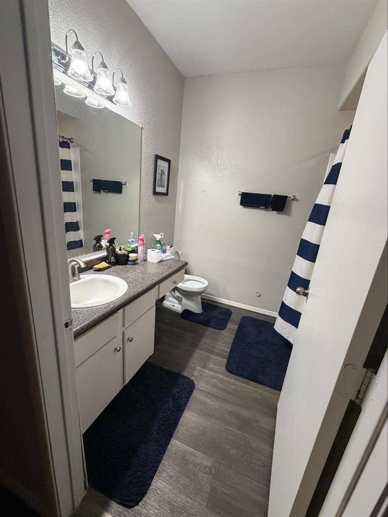 Looking for a roommate